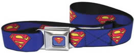 Superman Seatbelt buckle